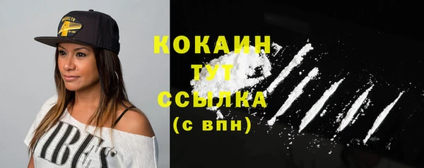 индика Абинск