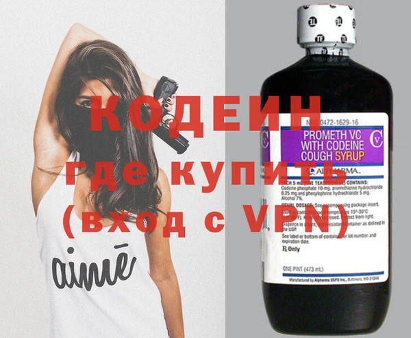 индика Абинск