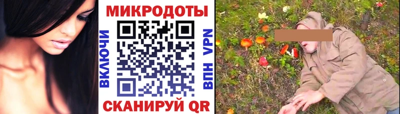 Псилоцибиновые грибы мицелий мега как войти Ростов-на-Дону